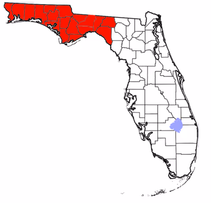 The Panhandle